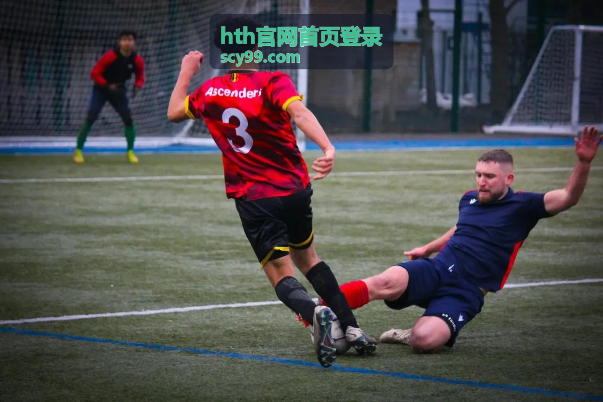 hth官网首页登录 用户经验分享